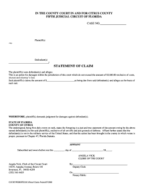 Florida Small Claims Court Filing Form