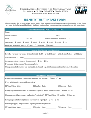 South Carolina Identity Theft Intake Form