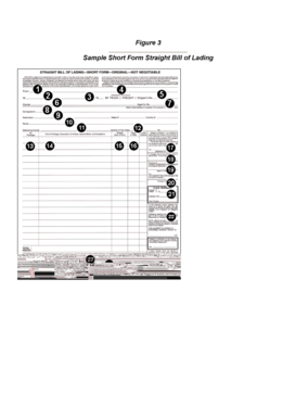 Figure 3 Sample Short Form Straight Bill of Lading - Spartan Global ...