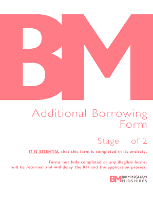Additional Borrowing Form