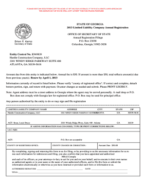 Georgia LLC Annual Registration Form