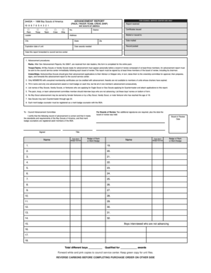 Boy Scouts of America Advancement Report