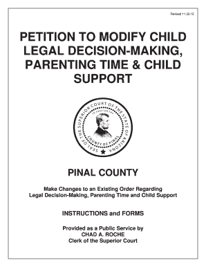 Petition to Modify Child Legal Decision-Making, Parenting Time & Child Support