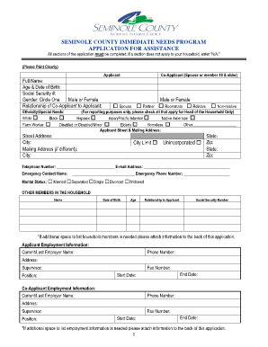 Semiole County Immediate Needs Program Application