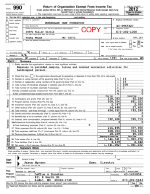 Form 990 2012 Tax Return