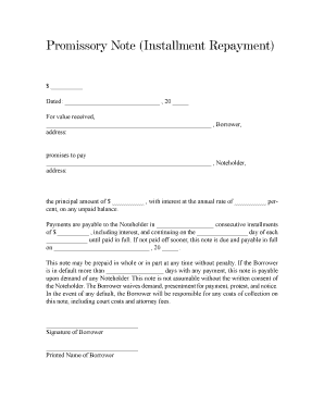 Promissory Note Installment Repayment