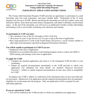 Young Adult Internship Program Application