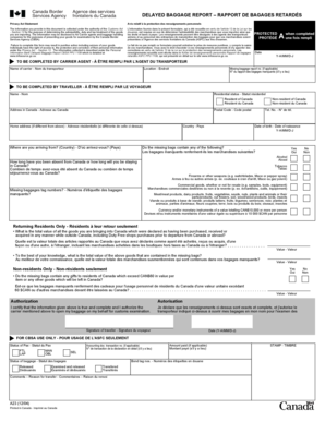 Delayed Baggage Report