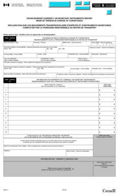 Cross-Border Currency or Monetary Instruments Report
