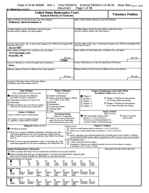 US Bankruptcy Court Voluntary Petition