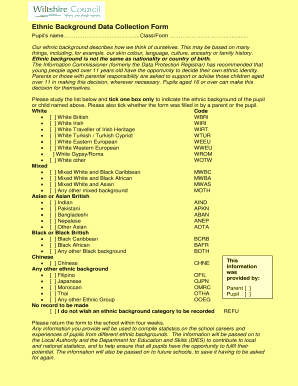 Ethnic Background Data Collection Form