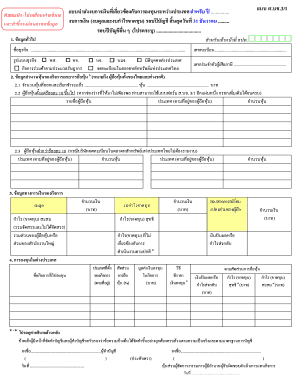 Thai Foreign Investment Financial Statement Form