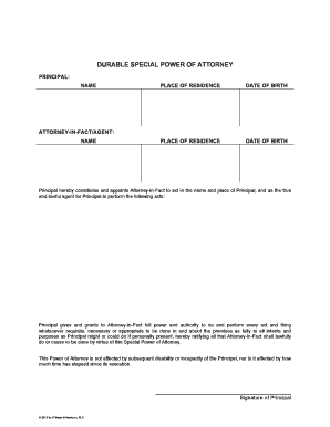 Durable Special Power of Attorney