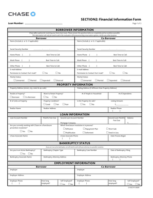 Chase Home Loan Financial Information Form