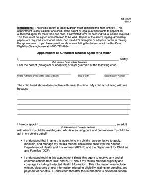 Appointment of Authorized Medical Agent for a Minor
