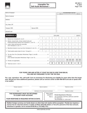 Florida Intangible Tax Self-Audit Worksheet