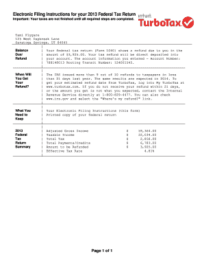 2013 US Federal Tax Return Form 1040