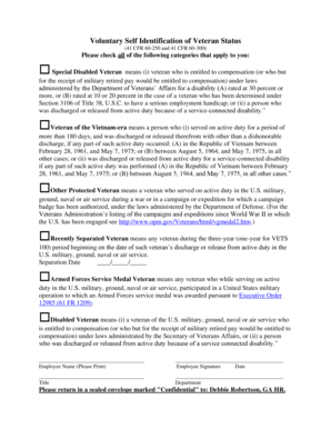 Voluntary Veteran Status Identification Form