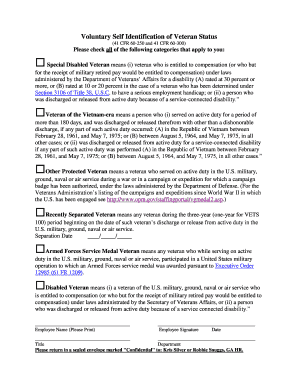 Voluntary Veteran Status Identification Form