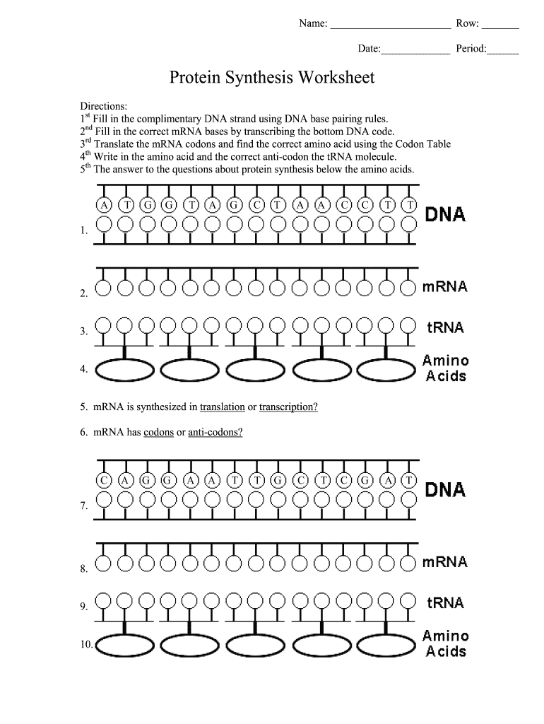 Protein Synthesis Worksheet Answer Key