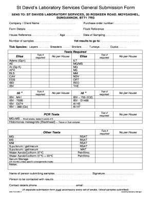 Form preview picture