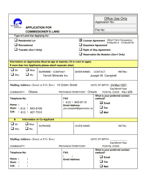 Form preview