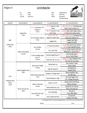 Let It Be Bristol Shot