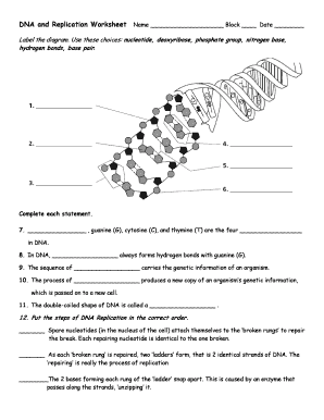 Dna And Replication Worksheet - Fill Online, Printable, Fillable, Blank |  pdfFiller