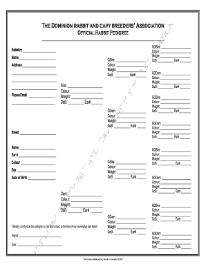 Form preview picture