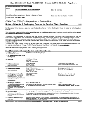 Official Form 309C (For Corporations or Partnerships)