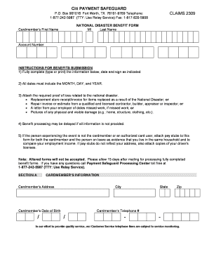 Form preview picture