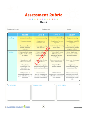 Holes Student Assessment Rubric