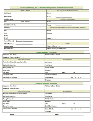 Form preview picture