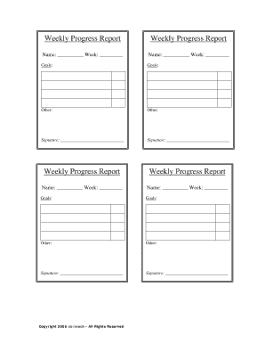 Weekly Progress Report