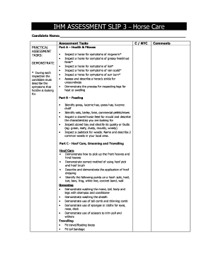 Horse Care Assessment Slip 3