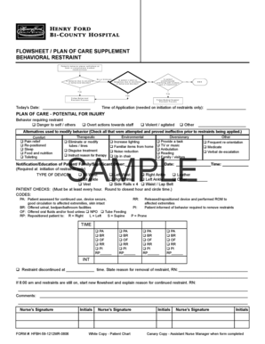Behavioral Restraint Flowsheet