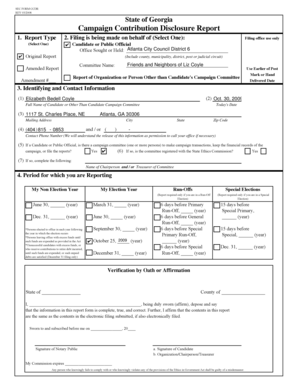 Georgia Campaign Contribution Disclosure Report