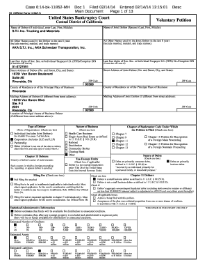 US Bankruptcy Voluntary Petition