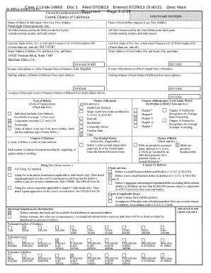 US Bankruptcy Voluntary Petition