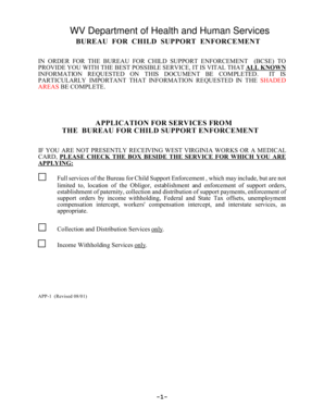 West Virginia Child Support Enforcement Application