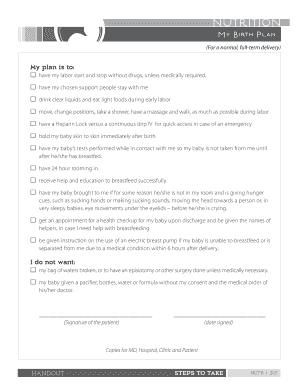 Birth Plan Form