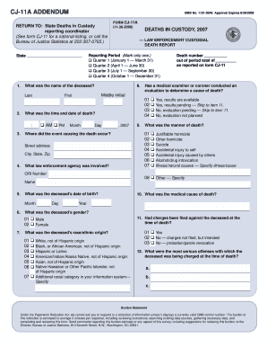 CJ-11A Death in Custody Report