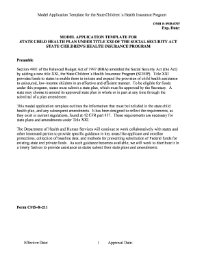 State Children’s Health Insurance Program Application Template