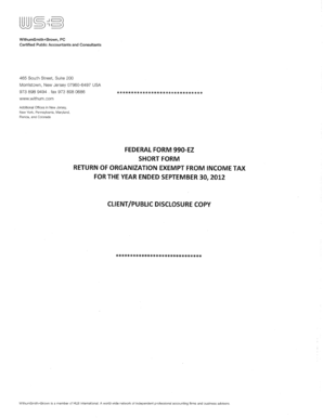 Form 990-EZ Tax Return