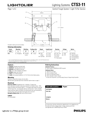 Lighting Systems CTS3-11 Order Form