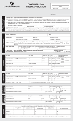 Consumer Loan Credit Application