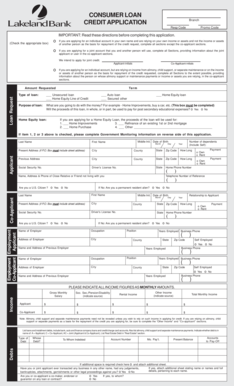 Consumer Loan Credit Application