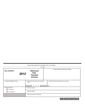 Delaware Electronic Payment Voucher