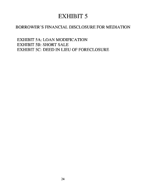Borrower’s Financial Disclosure for Mediation