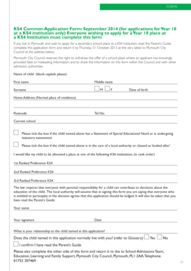 Form preview